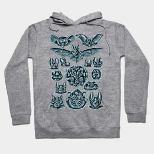 Ernst Haeckel Bats Cerulean Hoodie